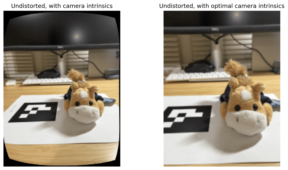 Customized dataset camera poses
