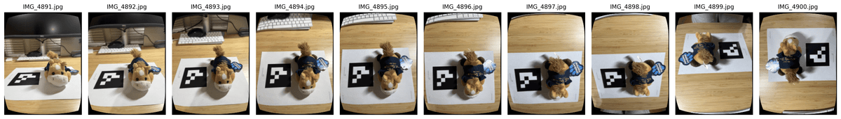 Customized dataset camera poses