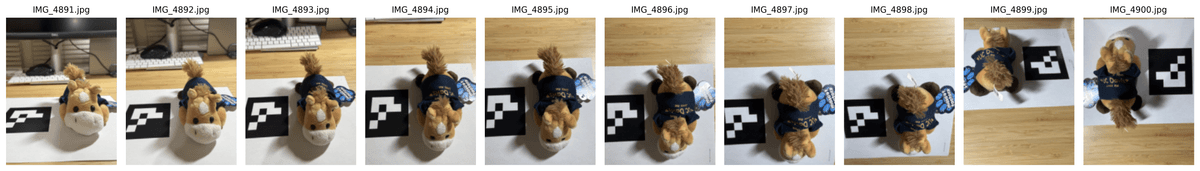 Customized dataset camera poses