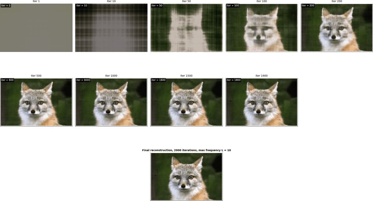 Training progress, fox