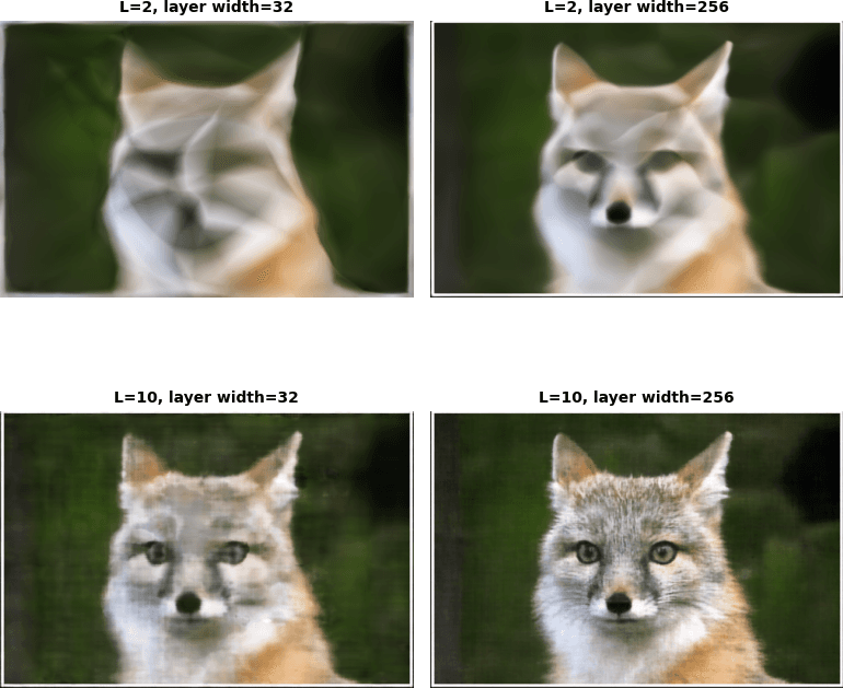 Hyperparameter tuning, fox