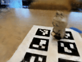 NeRF, Lafufu Dataset